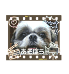 まるこちゃんのごあいさつ（個別スタンプ：7）