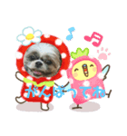 まるこちゃんのごあいさつ（個別スタンプ：8）