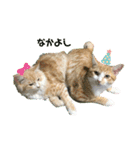 くれん（個別スタンプ：1）