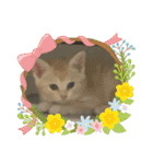 くれん（個別スタンプ：22）