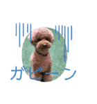 ブランその①（個別スタンプ：7）