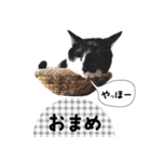 おまめスタンプ2020（個別スタンプ：2）
