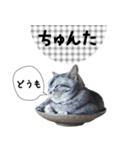 おまめスタンプ2020（個別スタンプ：3）
