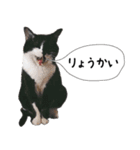 おまめスタンプ2020（個別スタンプ：5）
