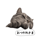 おまめスタンプ2020（個別スタンプ：7）