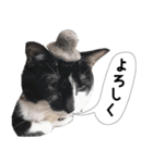 おまめスタンプ2020（個別スタンプ：10）