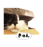 おまめスタンプ2020（個別スタンプ：16）