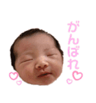 菅野家の平和スタンプ（個別スタンプ：16）
