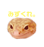 菅野家の平和スタンプ（個別スタンプ：33）