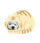 チッチロ2（個別スタンプ：3）