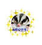 フクロモモンガのジジキキ（個別スタンプ：4）