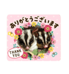 フクロモモンガのジジキキ（個別スタンプ：5）