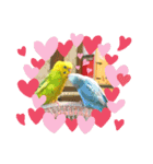 愉快なインコたち2（個別スタンプ：1）