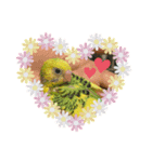 愉快なインコたち2（個別スタンプ：2）
