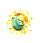 愉快なインコたち2（個別スタンプ：3）