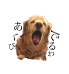 愛犬ラブちゃんスタンプ（個別スタンプ：4）