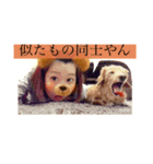 愛犬ラブちゃんスタンプ（個別スタンプ：7）