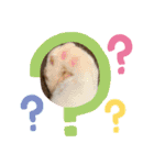 茶白猫むむ いろいろVer.（個別スタンプ：8）