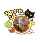 茶白猫むむ いろいろVer.（個別スタンプ：15）