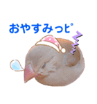 シナモン文鳥スタンプ（個別スタンプ：2）