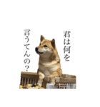 関西犬1（個別スタンプ：6）