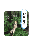 狂犬ラッキー！（個別スタンプ：31）