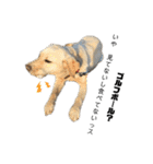狂犬ラッキー！（個別スタンプ：39）