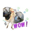 狂犬ラッキー！（個別スタンプ：40）