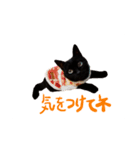 くろくろみーちゃん（個別スタンプ：1）