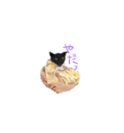 くろくろみーちゃん（個別スタンプ：5）