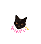 くろくろみーちゃん（個別スタンプ：9）