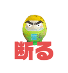DARUMAです〜（個別スタンプ：7）