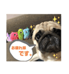 良い犬『小茶』の使いやすいスタンプ。（個別スタンプ：7）
