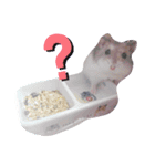 ハムスター(うる)の日常（個別スタンプ：1）