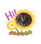 とらちゃん、たまちゃん（個別スタンプ：1）