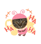 とらちゃん、たまちゃん（個別スタンプ：2）