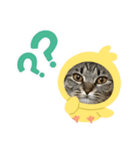 とらちゃん、たまちゃん（個別スタンプ：3）