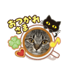 とらちゃん、たまちゃん（個別スタンプ：5）