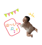 みおりんスタンプ待望の第3段（個別スタンプ：15）