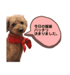 ミールミールミール（個別スタンプ：3）