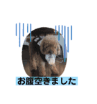 ミールミールミール（個別スタンプ：4）