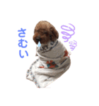 ミールミールミール（個別スタンプ：9）