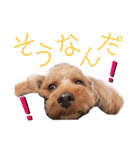 けりたん♥️るーたん①（個別スタンプ：4）