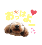 けりたん♥️るーたん①（個別スタンプ：6）