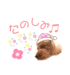 けりたん♥️るーたん①（個別スタンプ：14）