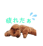 けりたん♥️るーたん①（個別スタンプ：15）
