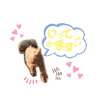 けりたん♥️るーたん①（個別スタンプ：17）