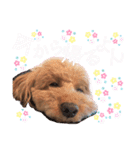 けりたん♥️るーたん①（個別スタンプ：22）