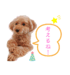 けりたん♥️るーたん①（個別スタンプ：23）