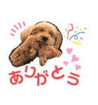 けりたん♥️るーたん①（個別スタンプ：25）